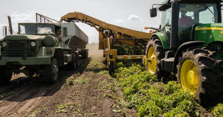 Are Agricultural Courses Marketable In Kenya