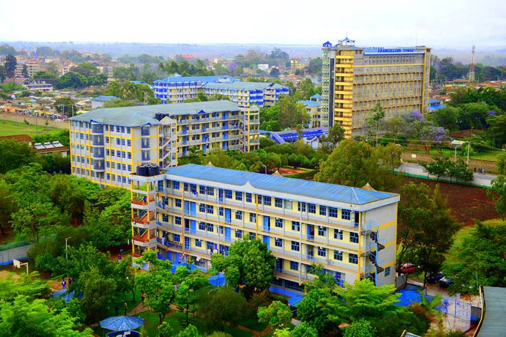 Which Courses Are Offered In Mount Kenya University